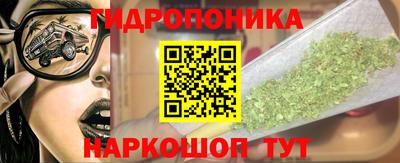 ешки Гатчина