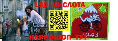 ешки Гатчина