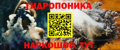 гашик Гай
