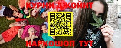 гашик Гай