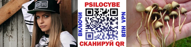Галлюциногенные грибы Cubensis  Качканар 