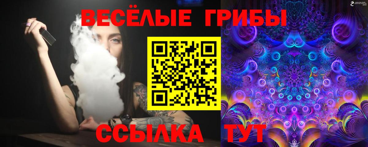 Качканар  Псилоцибиновые грибы Magic Shrooms  Вход с VPN 
